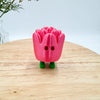 Valentine’s Day Mini Pocket Friends - Limited Edition Collectible Fun for Desk or Collection - MR SOFT ART STORE