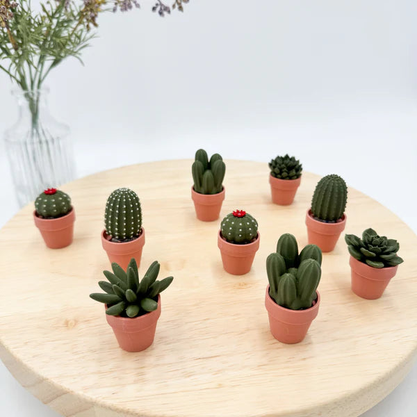 Pocket Plants - 3D Printed Mini Plant Decor Collectible - MR SOFT ART STORE
