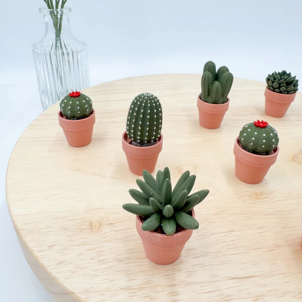 Pocket Plants - 3D Printed Mini Plant Decor Collectible - MR SOFT ART STORE