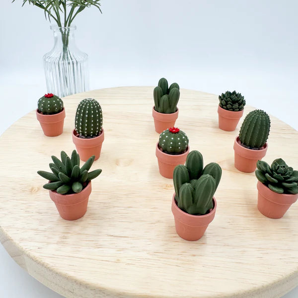 Pocket Plants - 3D Printed Mini Plant Decor Collectible - MR SOFT ART STORE