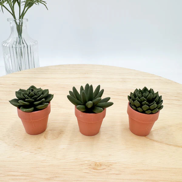 Pocket Plants - 3D Printed Mini Plant Decor Collectible - MR SOFT ART STORE