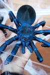 Articulated Tarantula - MR SOFT ART STORE