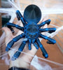 Articulated Tarantula - MR SOFT ART STORE