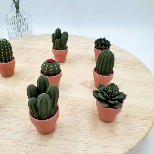 Pocket Plants - 3D Printed Mini Plant Decor Collectible - MR SOFT ART STORE