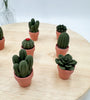 Pocket Plants - 3D Printed Mini Plant Decor Collectible - MR SOFT ART STORE