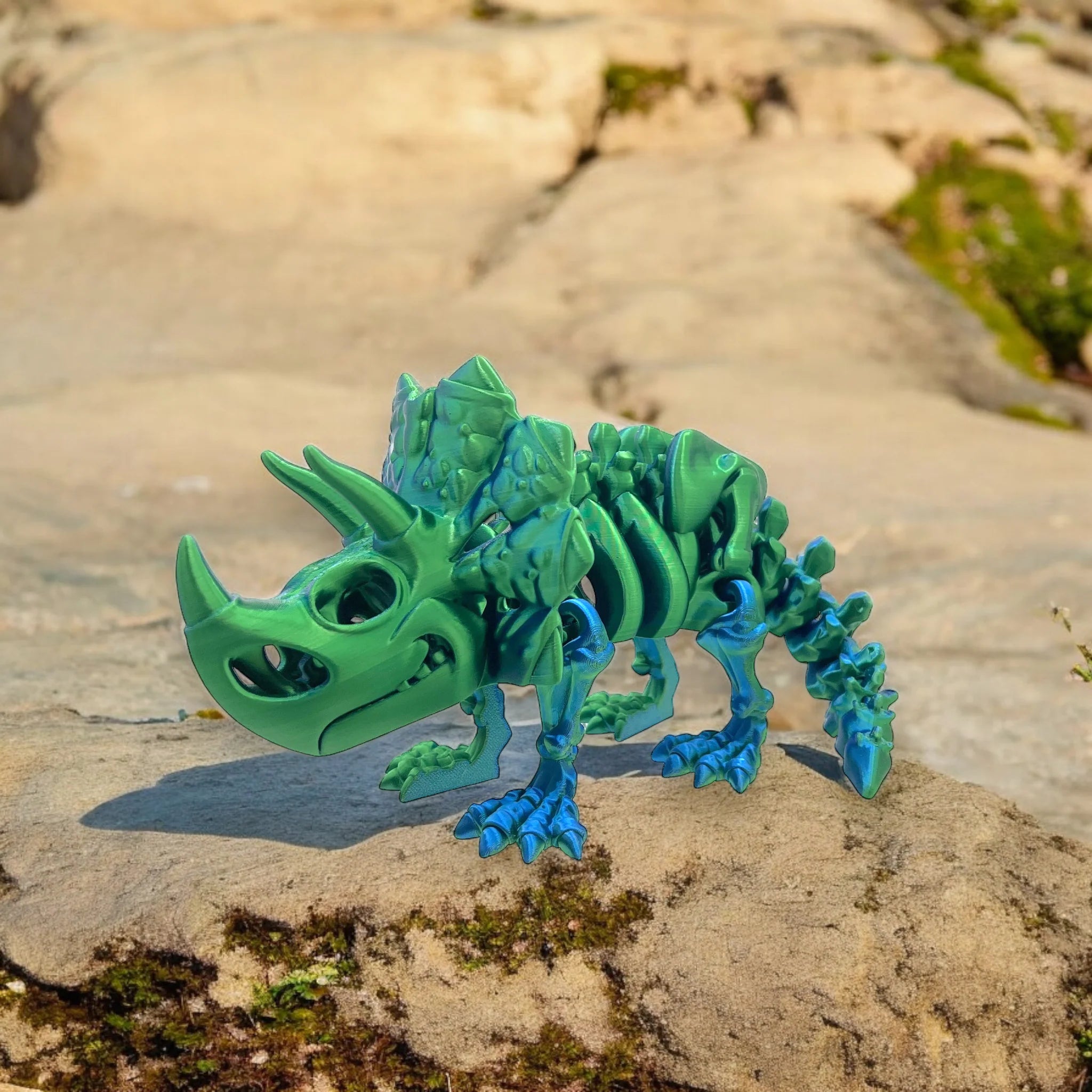 Triceratops: A Fossil - MR SOFT ART STORE