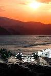 A Dragon Family's Sunset Sojourn - MR SOFT ART STORE