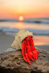 Home Sweet Shell: A 3D-Printed Hermit Crab - MR SOFT ART STORE
