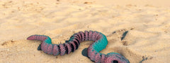 Snakes