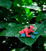 Poison Dart Frog: A Vibrant 3D-Printed - MR SOFT ART STORE