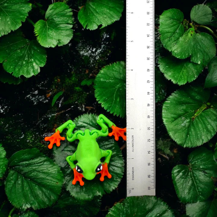 Poison Dart Frog: A Vibrant 3D-Printed - MR SOFT ART STORE