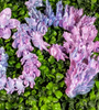 Cherry Blossom Dragon in Egg Flexible - MR SOFT ART STORE
