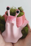 Pinky Snail Pot - MR SOFT ART STORE