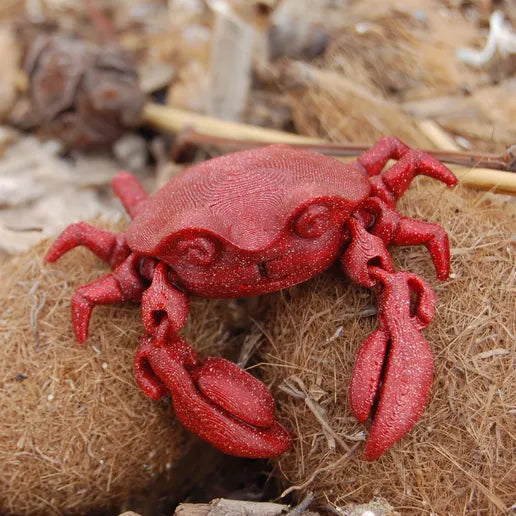 Articulated Crab - MR SOFT ART STORE